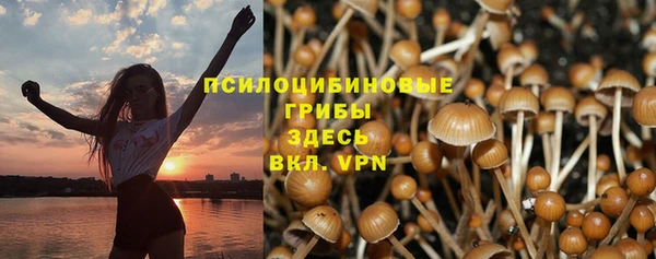 соль курить ск Абаза