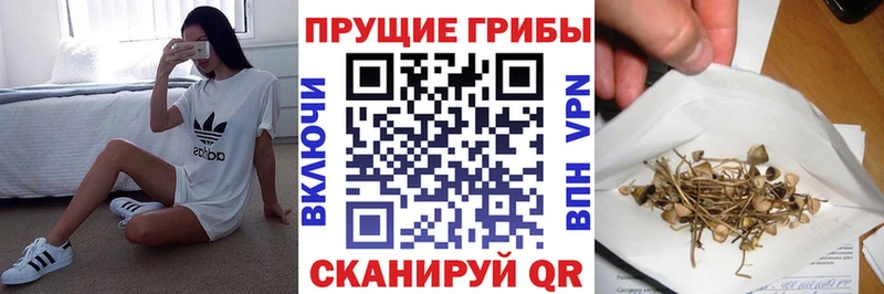 Псилоцибиновые грибы Psilocybe Комсомольск-на-Амуре